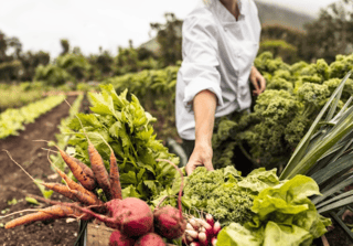 Screenshot 2026-04-13 at 4.54.39 PM